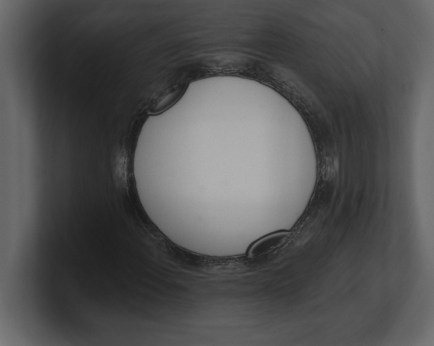 X0000100961108200807151352