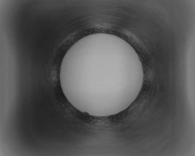 X0000100961110200807151352