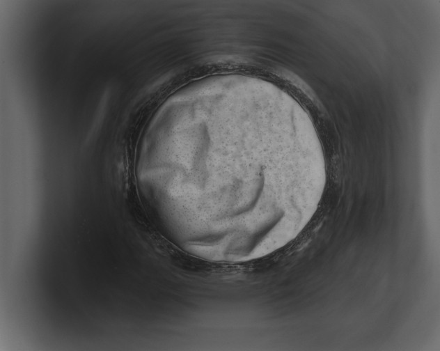 X0000100961111200807151352