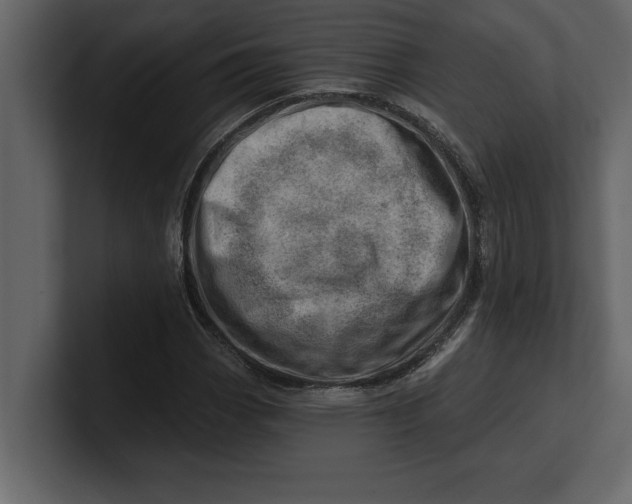 X0000100961113200807151352