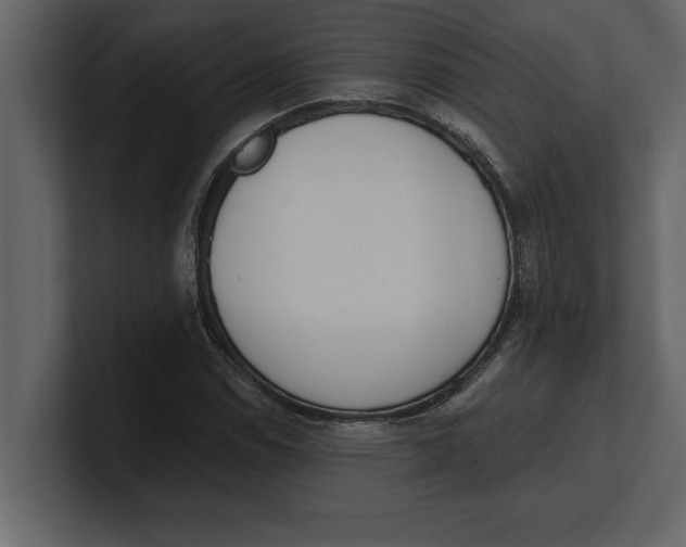 X0000100961114200807151352