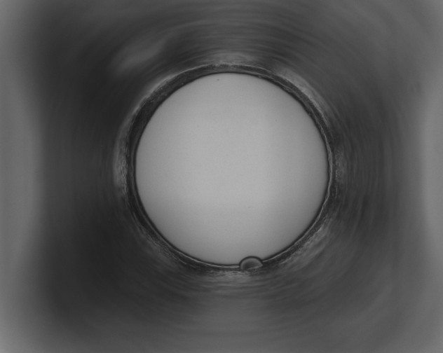 X0000100961115200807151352