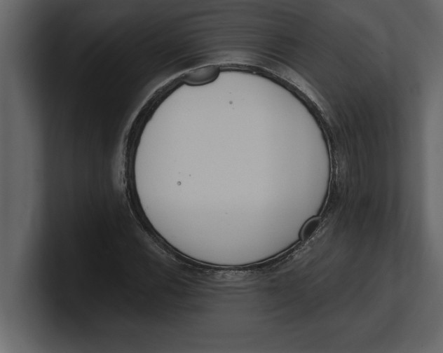 X0000100961116200807151352