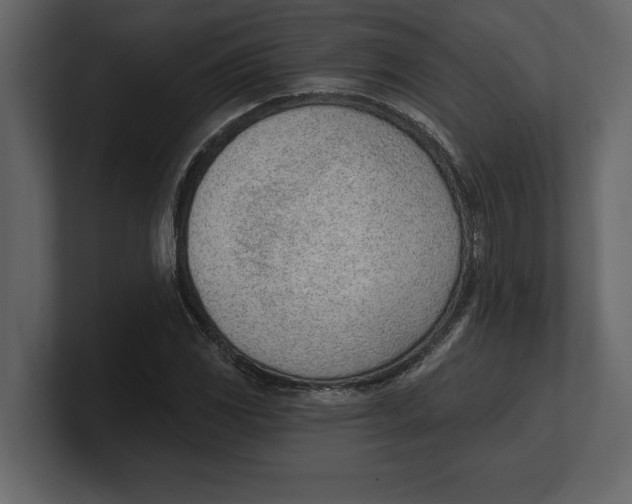 X0000100961117200807151352