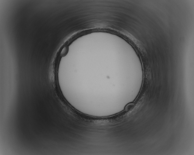 X0000100961118200807151352