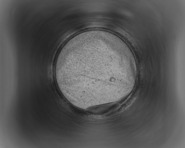 X0000100961121200807151352