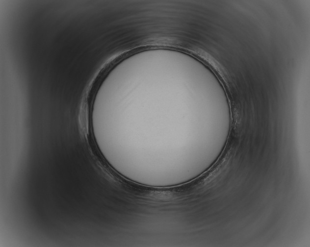 X0000100961123200807151352