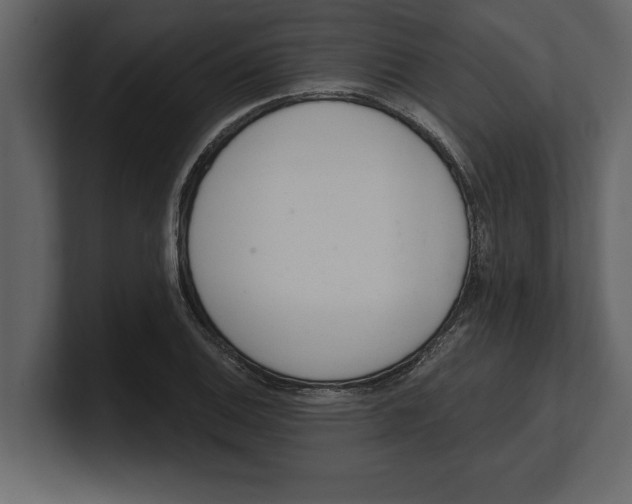 X0000100961124200807151352