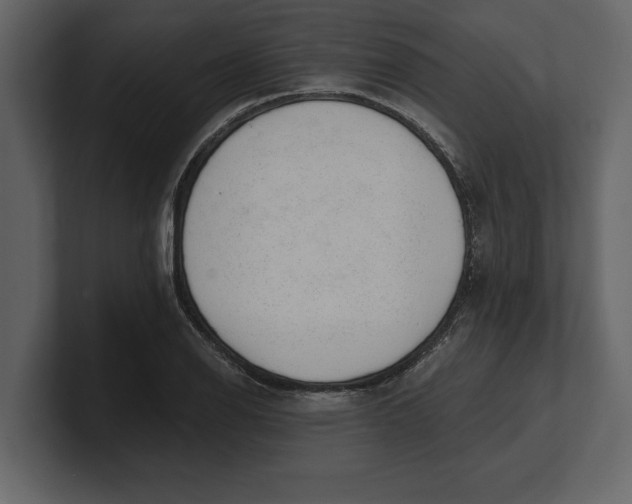 X0000100961126200807151352