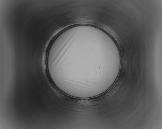 X0000100961128200807151352