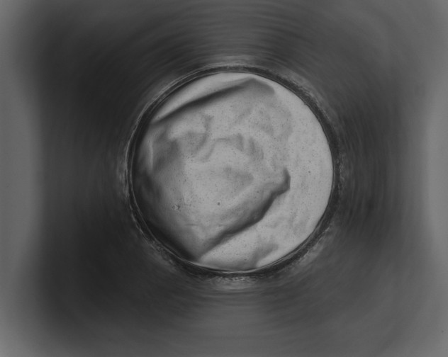 X0000100961129200807151352