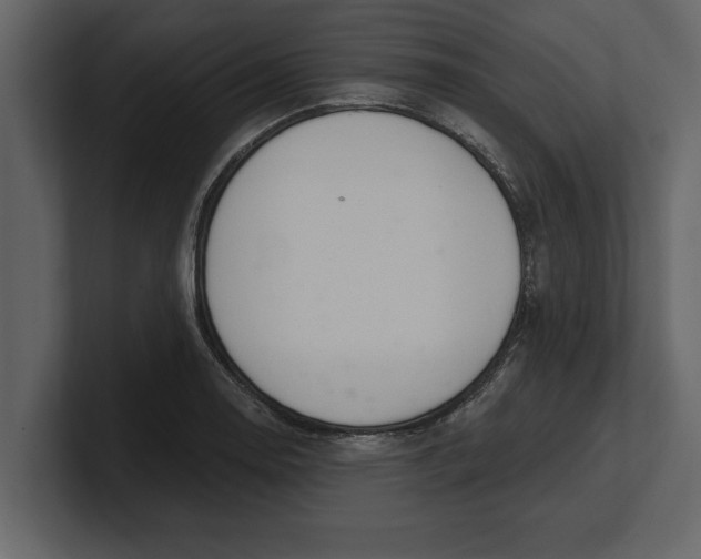 X0000100961130200807151352