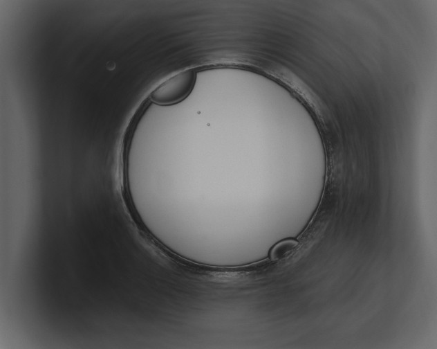 X0000100961132200807151352