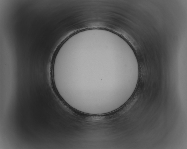 X0000100961134200807151352