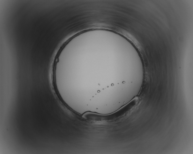 X0000100961136200807151352