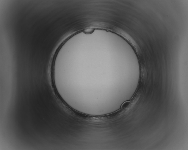 X0000100961138200807151352