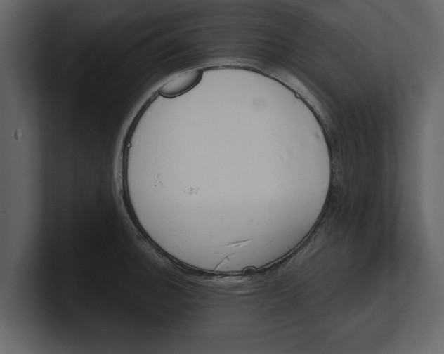 X0000100961140200807151352