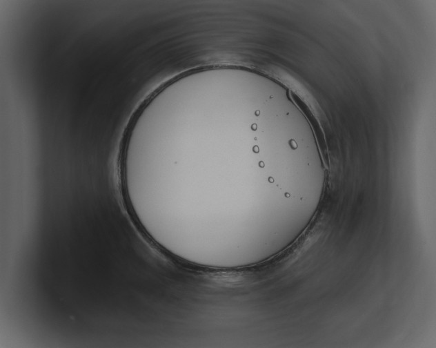 X0000100961141200807151352