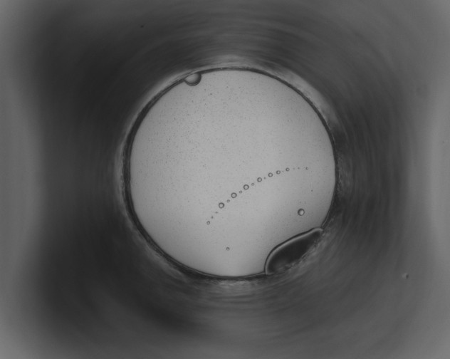 X0000100961142200807151352