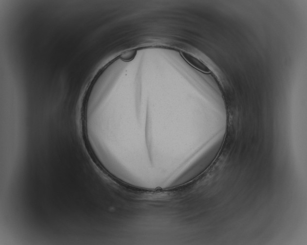 X0000100961143200807151352