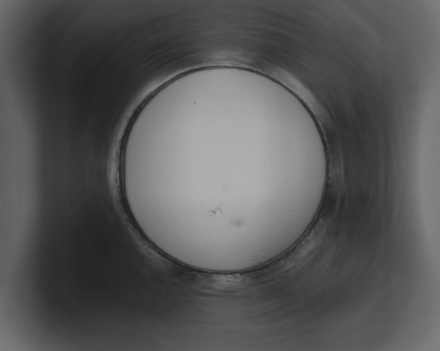 X0000100961144200807151352