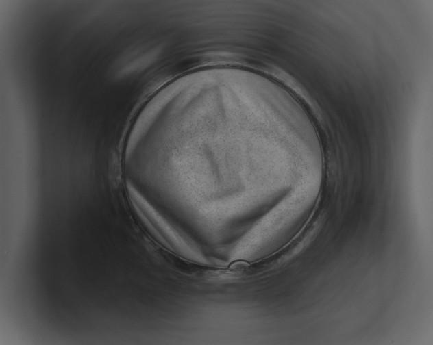 X0000100961145200807151353