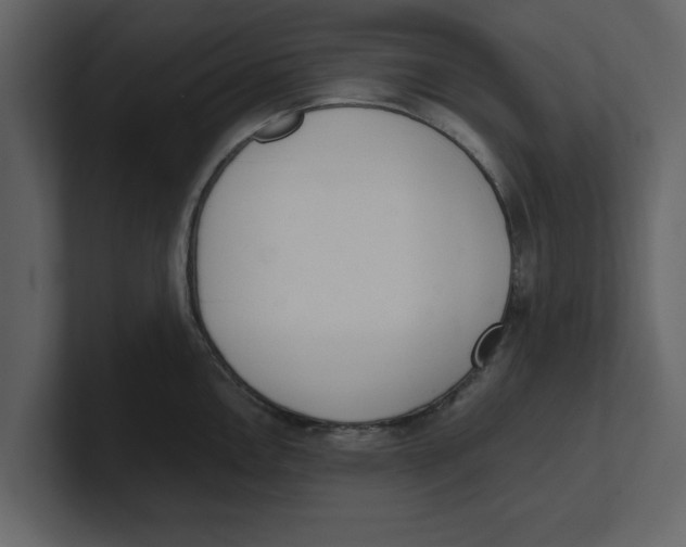 X0000100961146200807151353