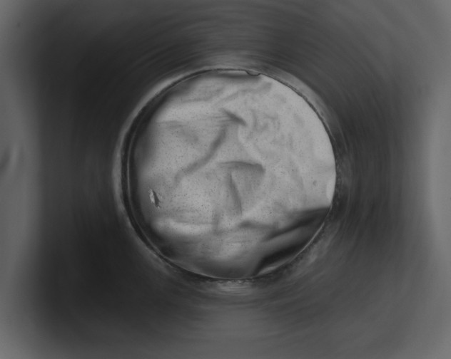 X0000100961147200807151353