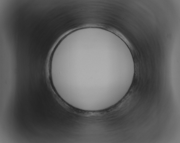 X0000100961148200807151353