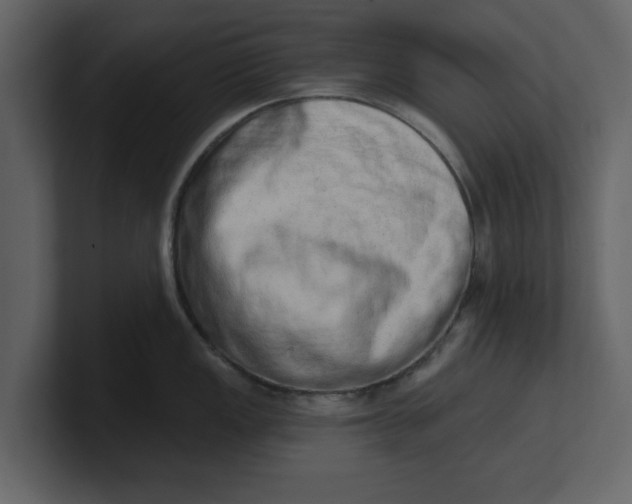 X0000100961149200807151353