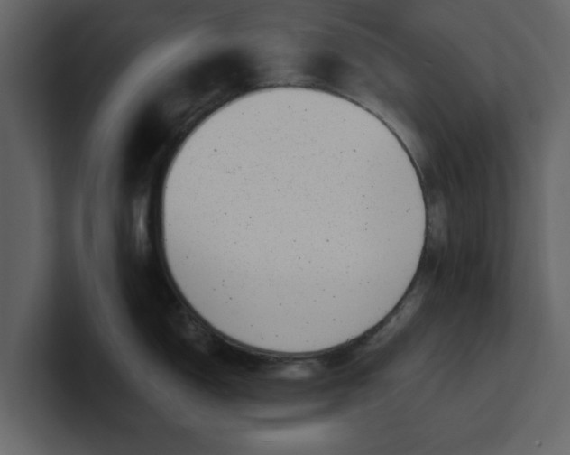 X0000100961150200807151353