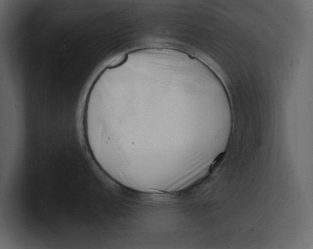 X0000100961152200807151353