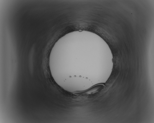 X0000100961153200807151352