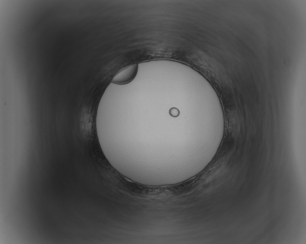 X0000100961154200807151352