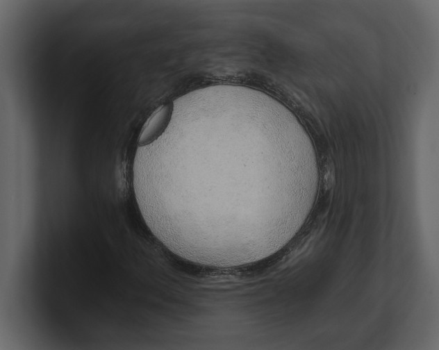 X0000100961156200807151352