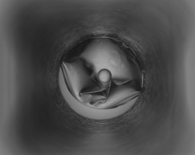 X0000100961157200807151352