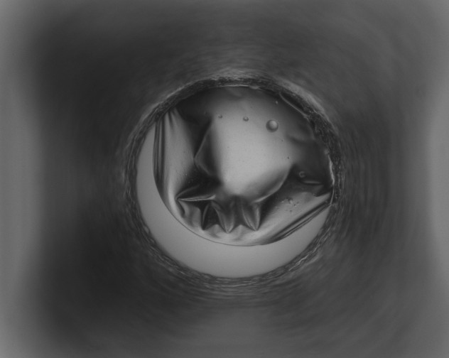 X0000100961160200807151352