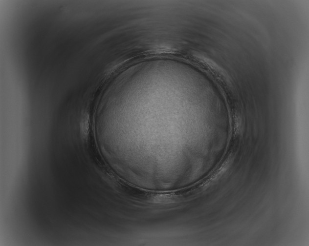 X0000100961161200807151352