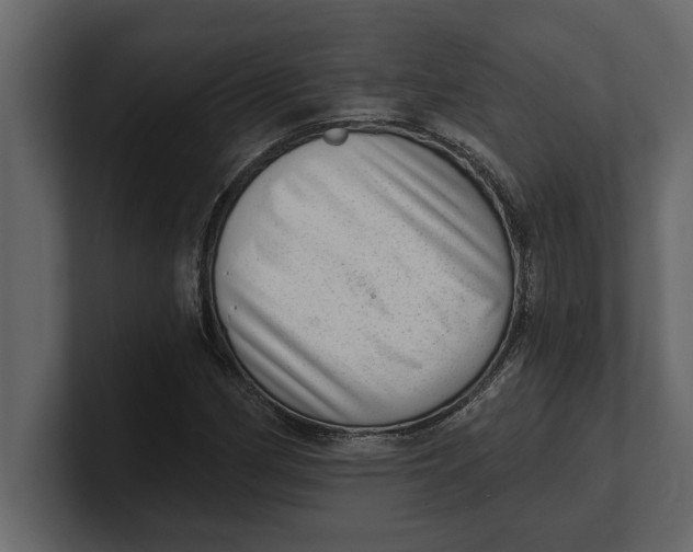 X0000100961162200807151352