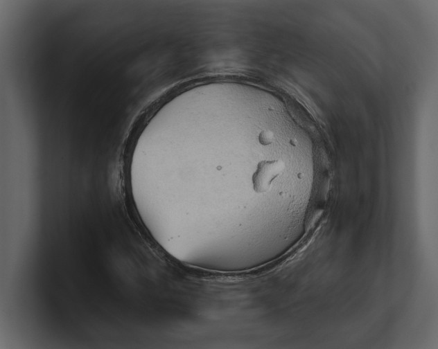 X0000100961164200807151352