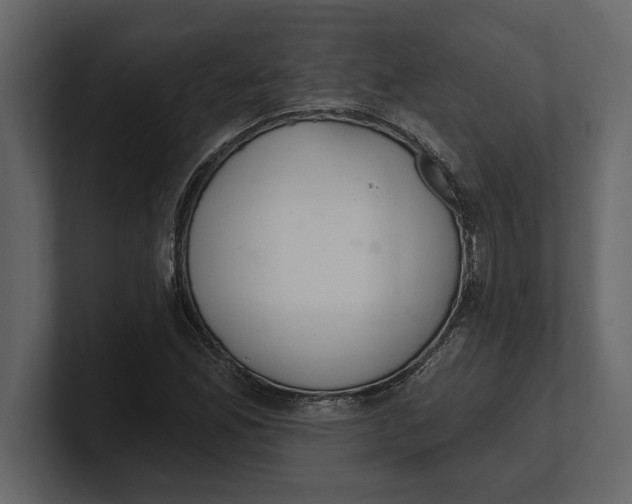 X0000100961165200807151352