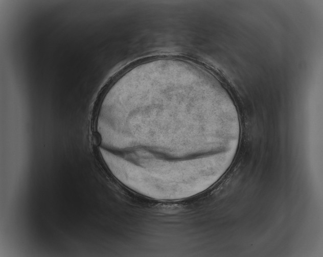 X0000100961168200807151352