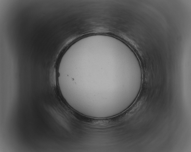 X0000100961171200807151352