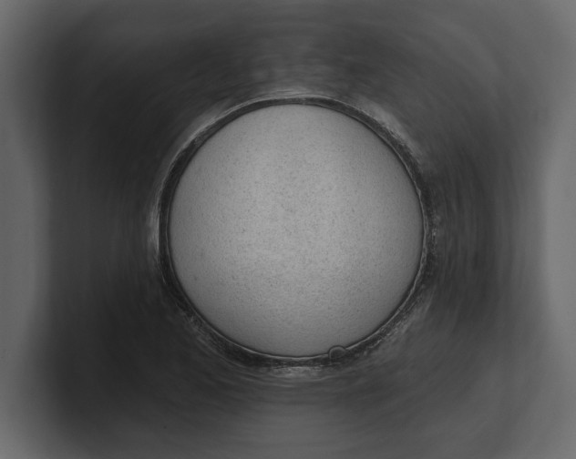 X0000100961173200807151352