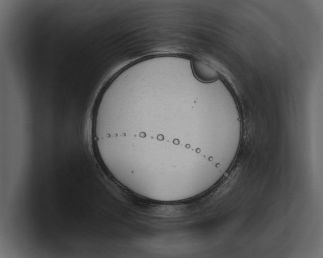 X0000100961179200807151352