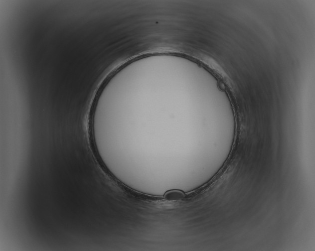 X0000100961181200807151352