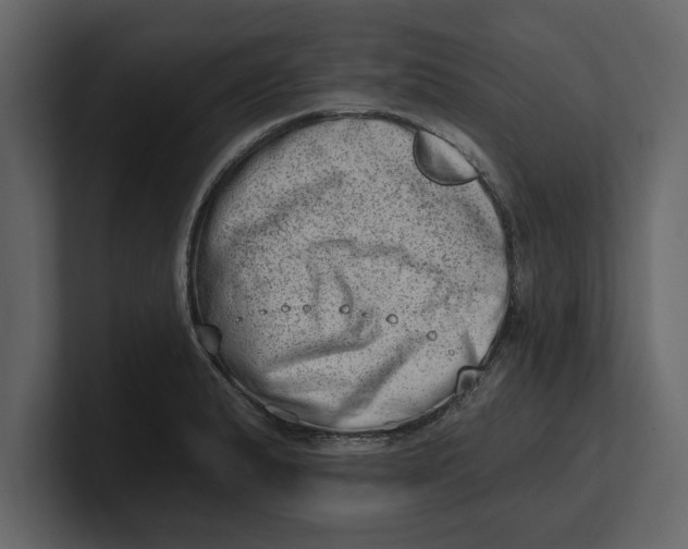 X0000100961183200807151352