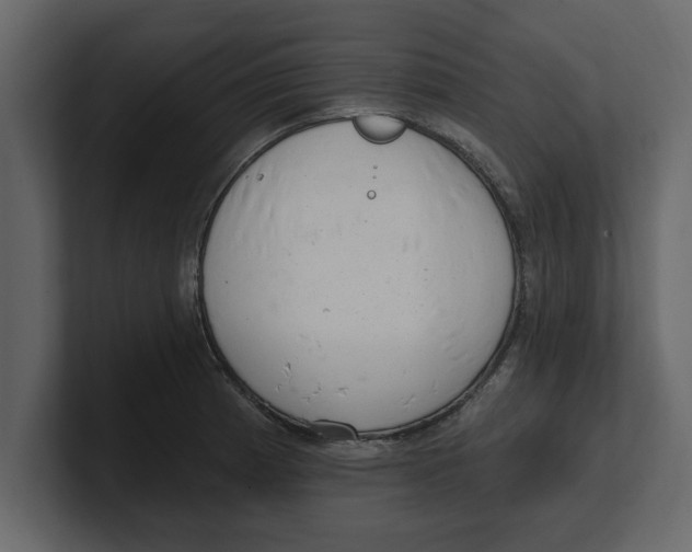 X0000100961185200807151351