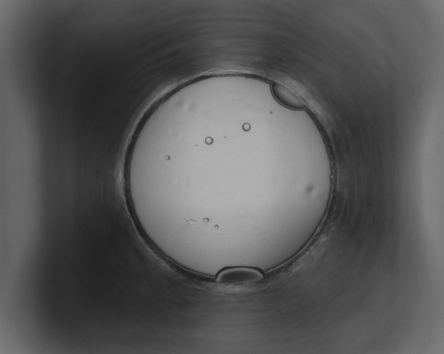 X0000100961189200807151351