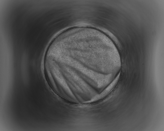 X0000100961191200807151351